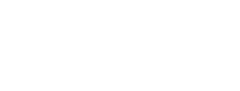 DIGITAL FTTH logo